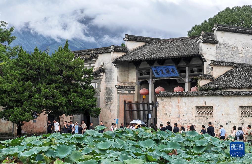 下载金彩网平台